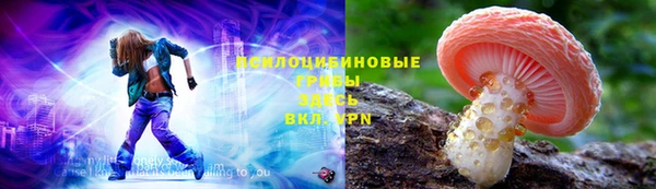 прущая мука Бородино